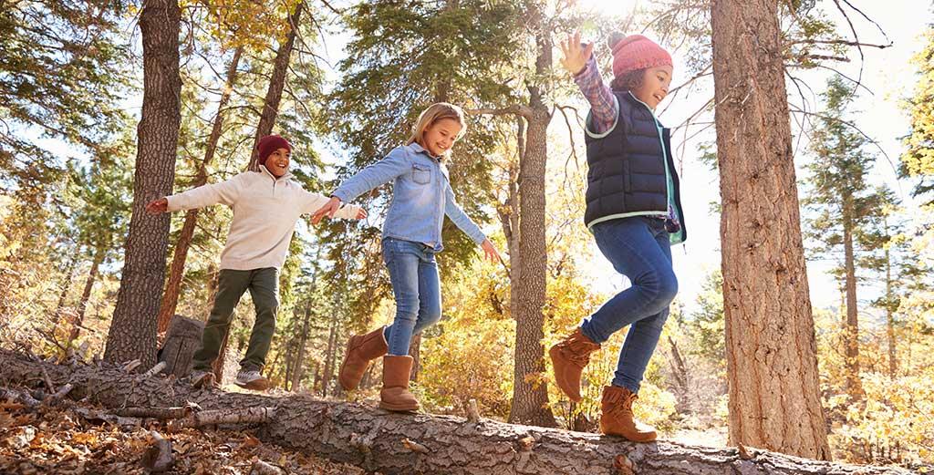 Children play in the woods
