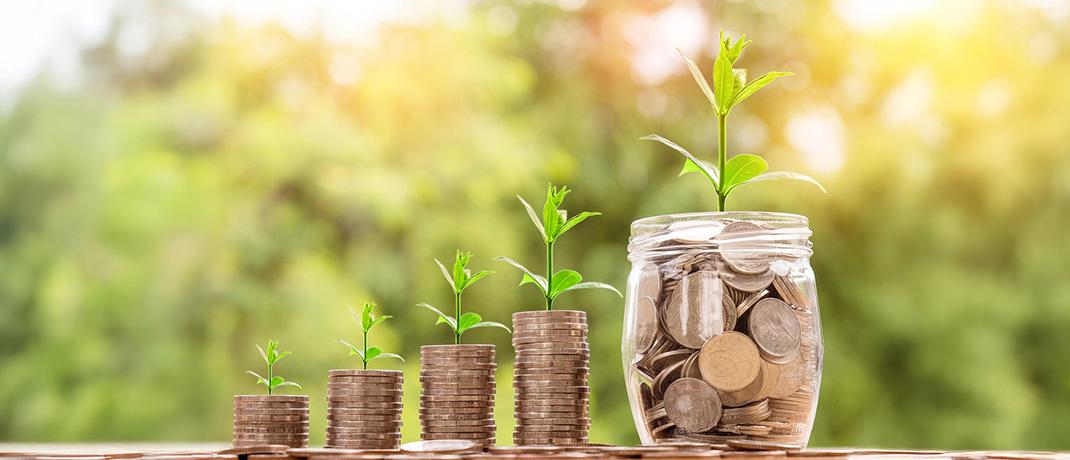 Four stacks of coins and a jar filled with coins, all of which have a plant growing out from it.