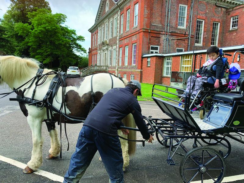 Kenny on a horse and cart ride