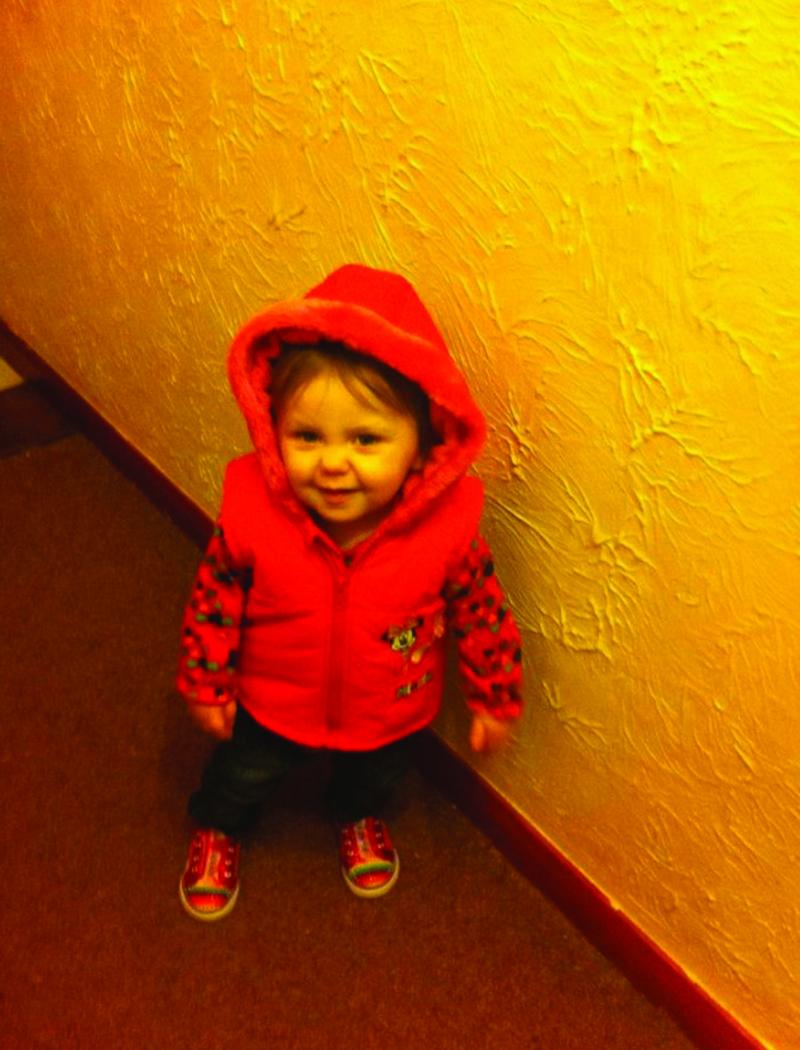 Millie before her ABI in May 2012